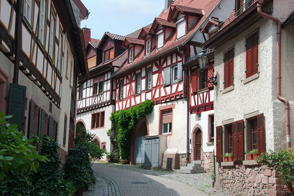 Altbau­sanierung bei L & N  UG (haftungsbeschränkt) in Nebra